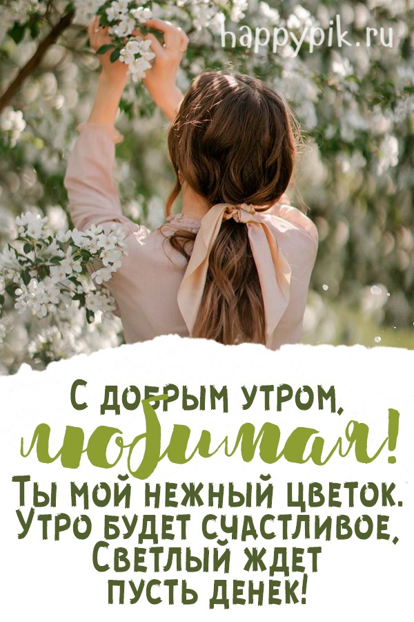 🌼🌼🌼ЛЮБИМЫЕ МОИ ДРУЗЬЯ🌸🌸🌸 АДМИНИСТРАЦИЯ ГРУППЫ ЖЕЛАЕТ