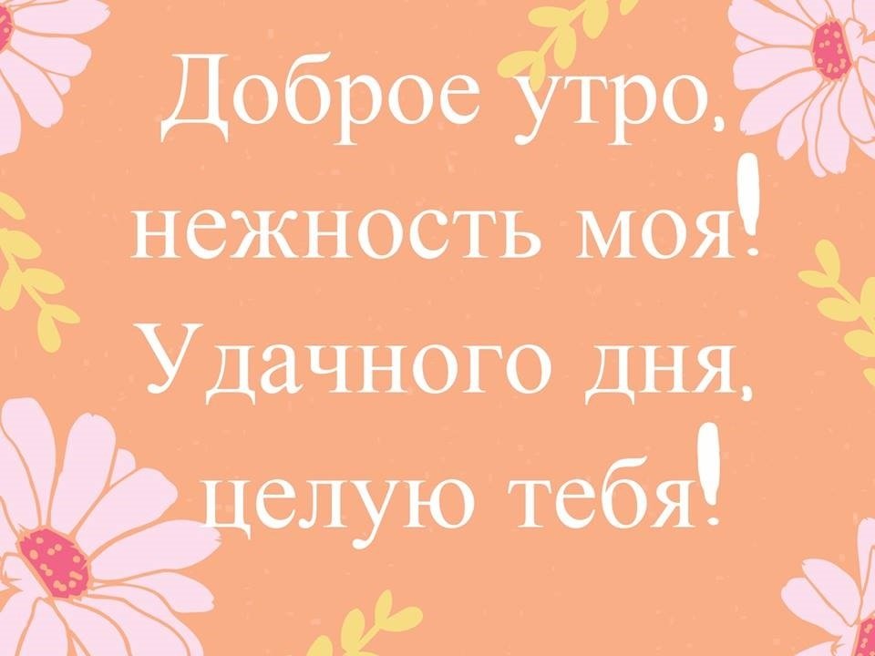 Красивые пожелания С добрым утром любимой | Лучшие утренние