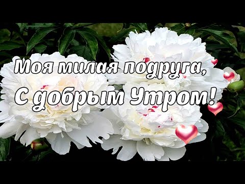 Доброе утро и прекрасного дня!