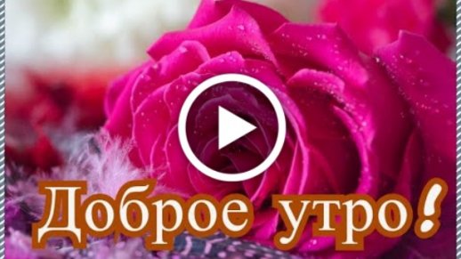 Видеооткрытка Доброе утро! Желаю