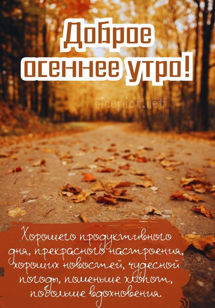 Доброе Утро И Хорошего Дня Природа И Море | TikTok