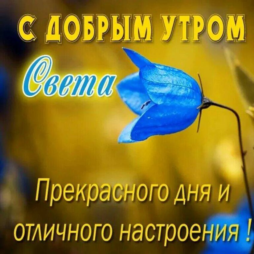 🌺🌿 ЯГОДКИ, ДОБРОЕ УТРО, ОТЛИЧНОГО ДНЯ