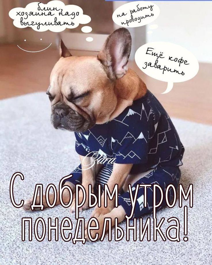 И снова понедельник! И снова на работу