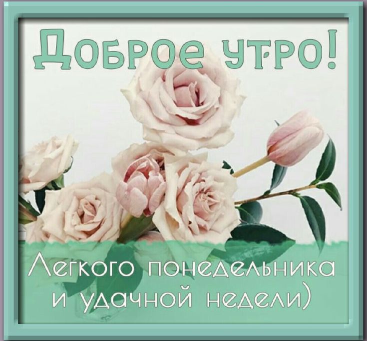 Открытка Доброе утро Понедельника! Успешной недели!