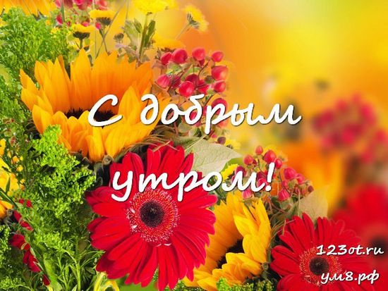 💌☀️😄 Картинки Хорошего дня