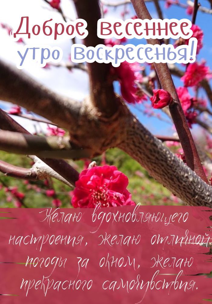 Доброе утро воскресенье