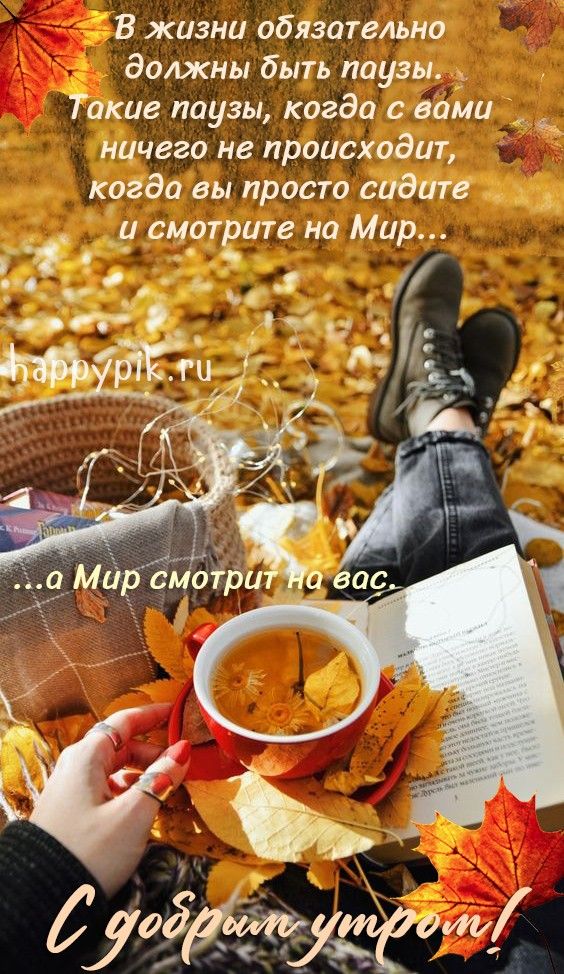 🍁 ⛅ ☕ Картинки С добрым осенним утром