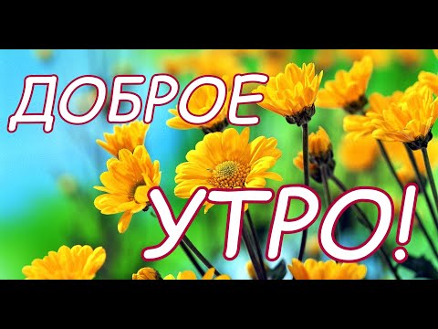 С Добры́м Утром Прикольные Картинки | TikTok