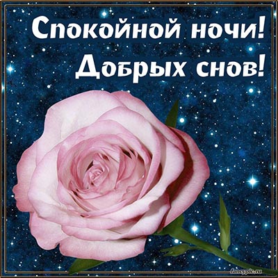 Доброй Ночи! Самое красивое пожелание спокойной ночи✨сладких