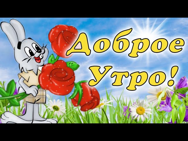 АГС_Утро Доброе утро, дорогие