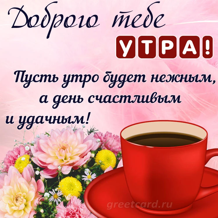 🌺🌿 ЯГОДКИ, ДОБРОЕ УТРО, ОТЛИЧНОГО ДНЯ! 🌿🌺 С добрым утром