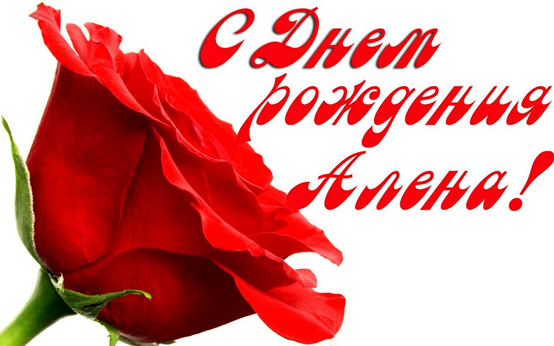 🌹С Днём Рождения, Лена! 🎁Лучшее