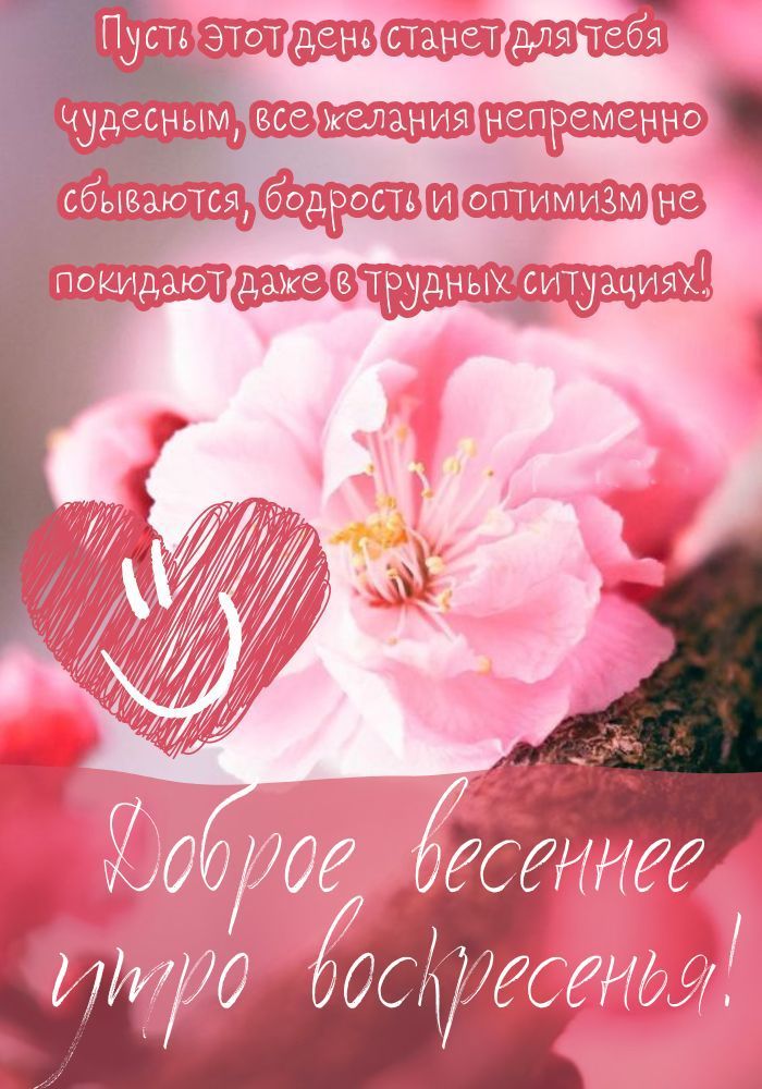 С ВОСКРЕСЕНЬЕМ — поздравления картинки 💐 Доброго утра, дня