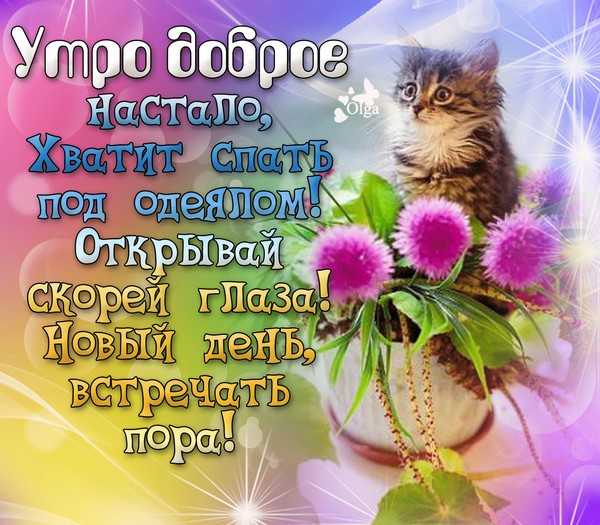 Необычные открытки Доброе утро! 