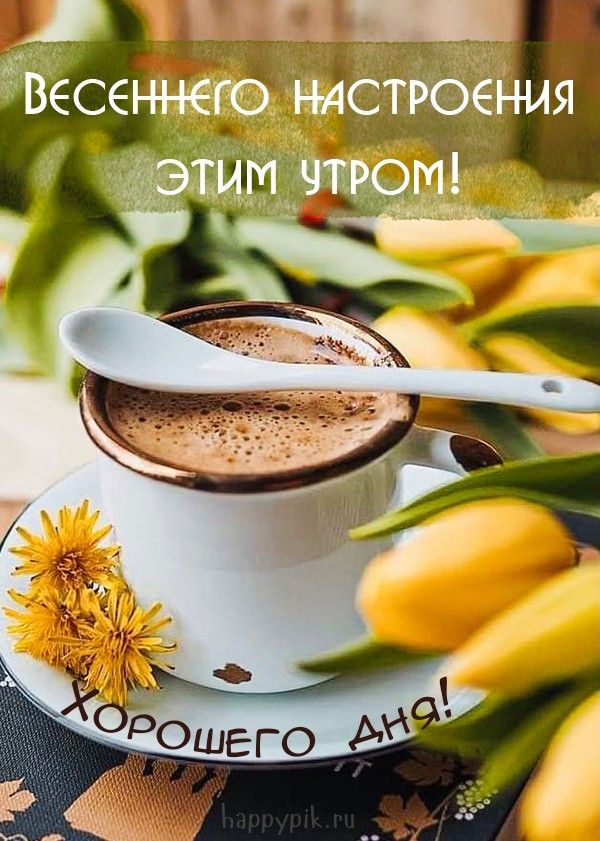 Красивые картинки Доброе утро ☀️☕