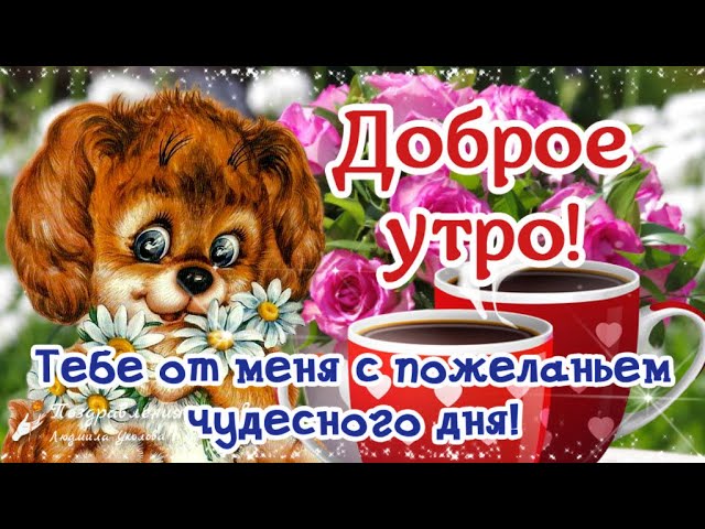 Доброе Утро Мой Родной Человек | TikTok