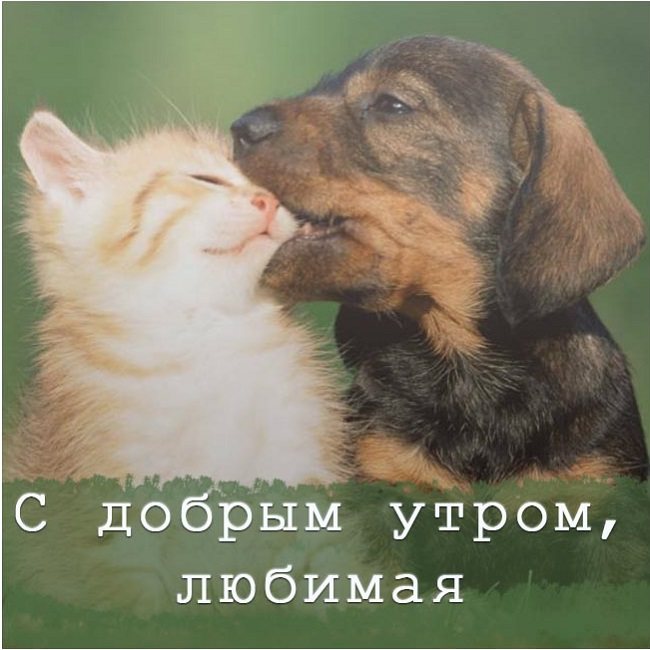 Моя коллекция картинок на портале Happypik.ru. Ваши