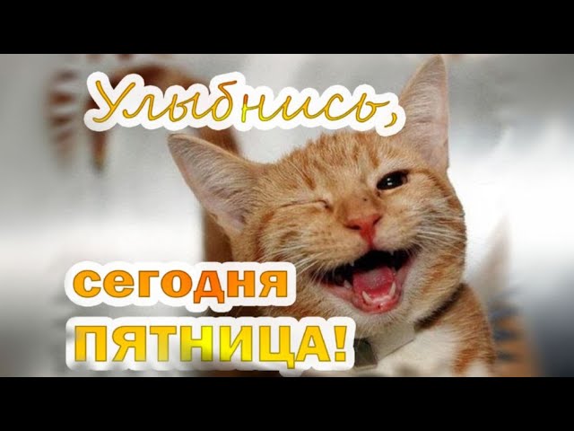 Доброго Утра Пятницы | TikTok