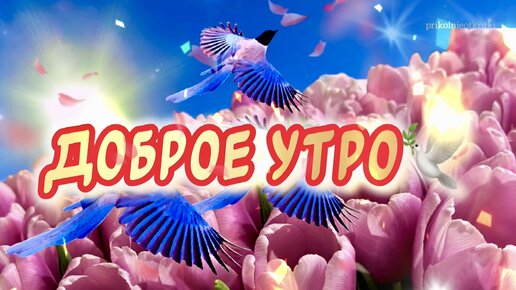 Картинки Доброго весеннего утра с