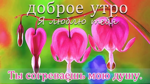 ДОБРОЕ УТРО, ЛЮБИМАЯ ! ~ Открытка 