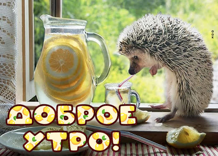 С добрым утром!