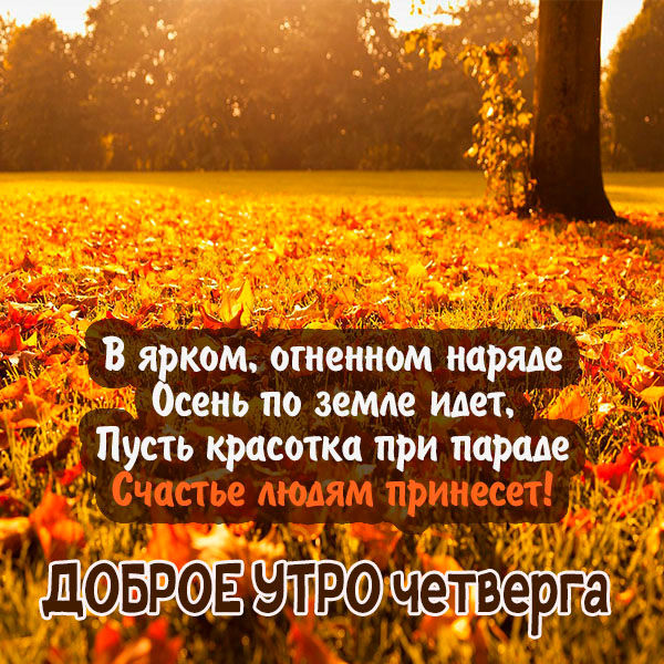 Доброе утро Светлого дня! Чистый четверг. 🌿🕊️🌷🌷🌷