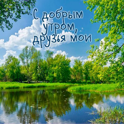 Доброе утро природа красивые картинки и