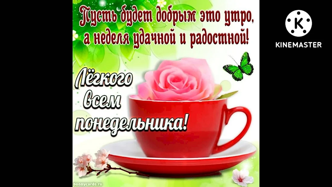 🌺☕️Ух, ты, опять понедельник! Доброе