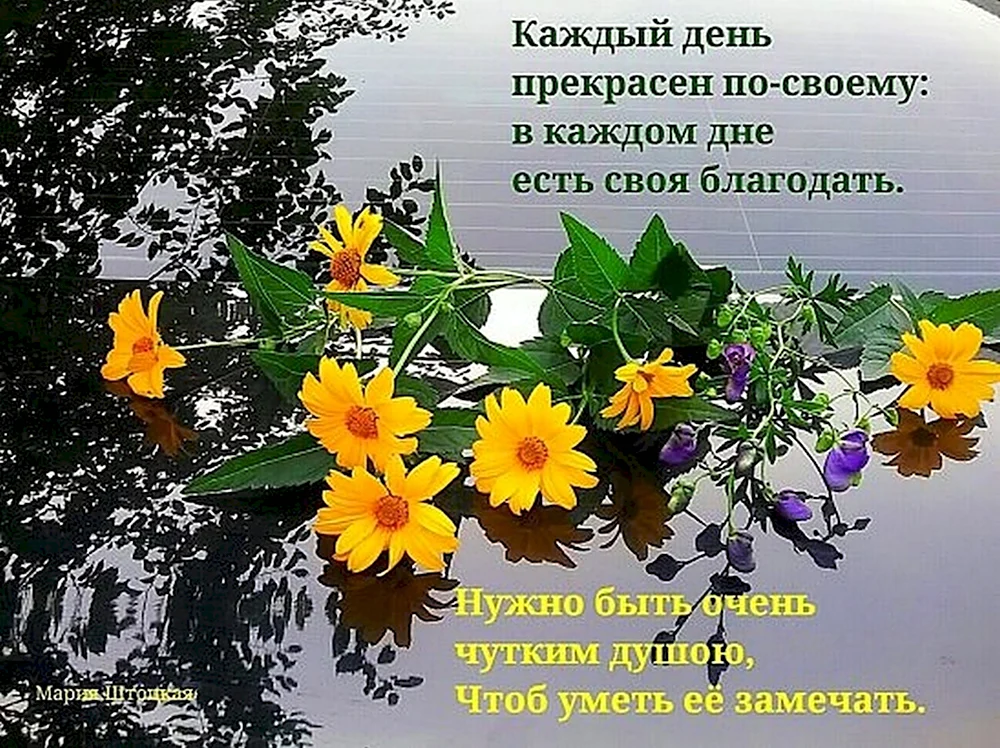 Сегодня, 2 декабря, по церковному православному календарю