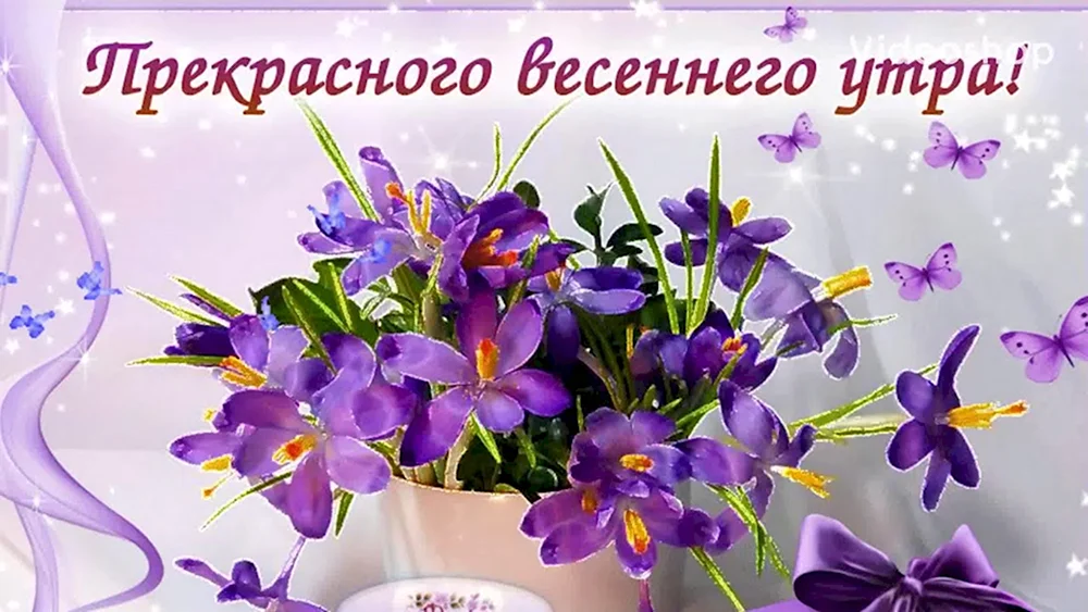 🌸✨☕ Красивые картинки С добрым весенним утром! 