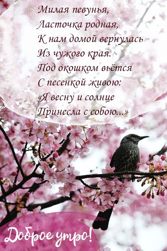 🌸✨🌸 С ДОБРЫМ АПРЕЛЬСКИМ УТРОМ 🌸✨🌸 Я