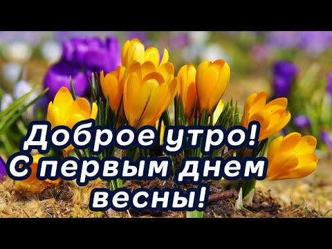 День добрый картинки