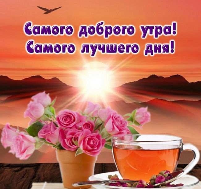 💗☕️Доброе Утро! Хорошего Дня!🌷Для