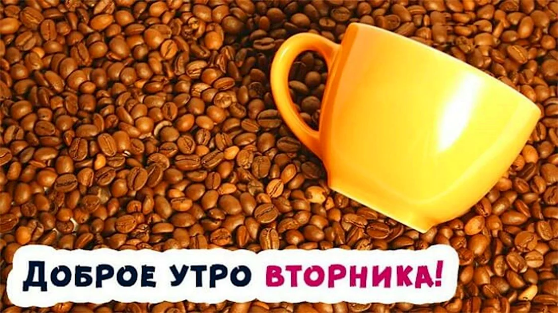 Картинки С Добрым Утром Вторника! 