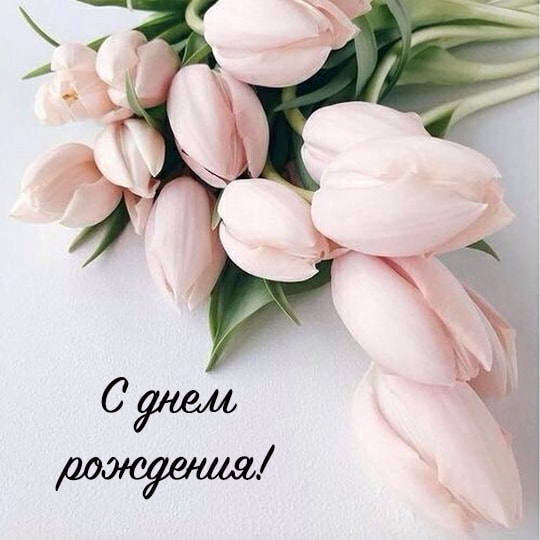 Коллеге в День Рождения! 🌹 Шикарное