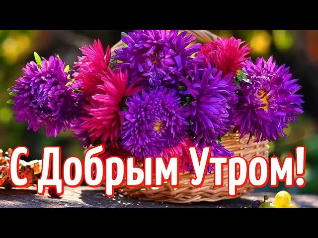 С добрым прекрасным утром!🌺🌺🌺 | С добрым утром! | ВКонтакте