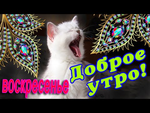 С Добрым Утром Воскресенья | TikTok