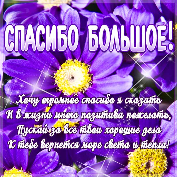 🌺 С Международным днём сестёр