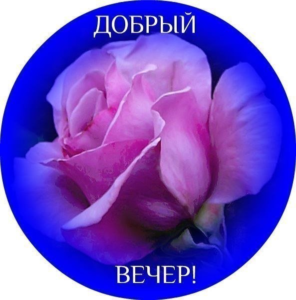 ДОБРЫЙ ВЕЧЕР стихи пожелания 🌺 | Открытки с пожеланием