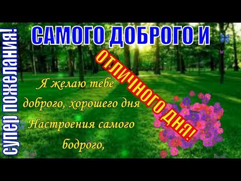 Картинки добрый день позитивные прикольные