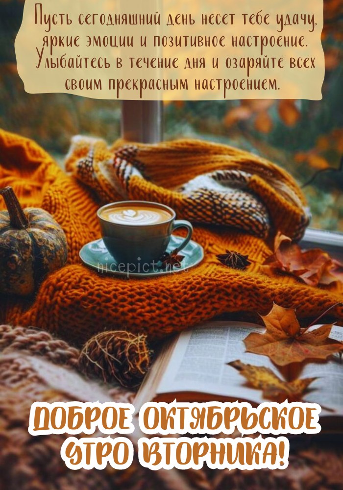 Видео Открытки💐❤️ | Доброе Утро ☕#вторник 🤗#хорошегодня