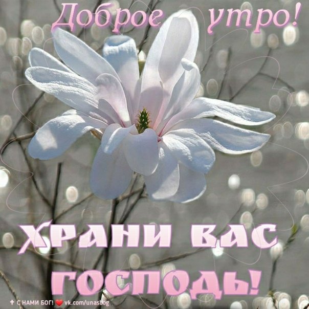 С Добрым Утром! ☕🌹Красивейшие Пожелания Доброго Утра и