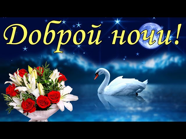 ЦИТАТЫ И СТАТУСЫ꧂ | Спокойной ночи и