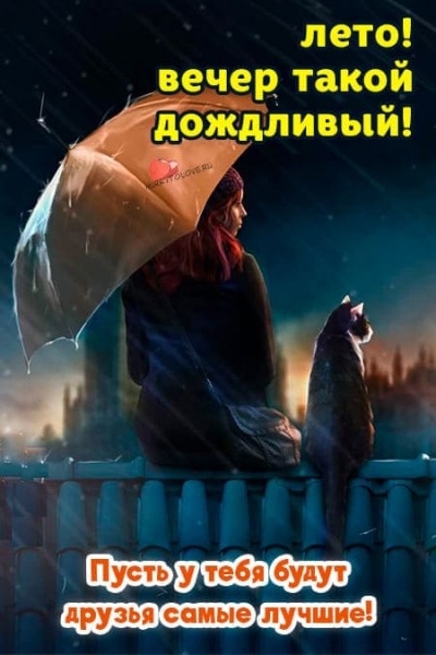 Добрый вечер