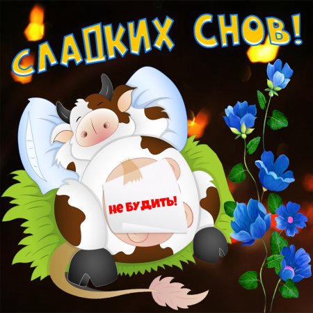 Пожелания самых красивых снов 🔥 BipBap.ru