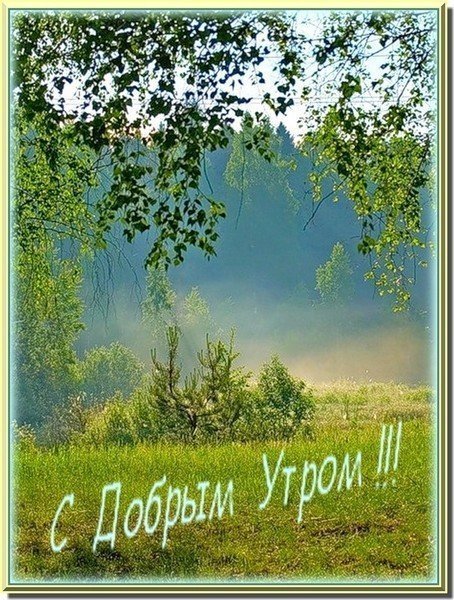 Картинки красивые с природой доброе утро друзья 