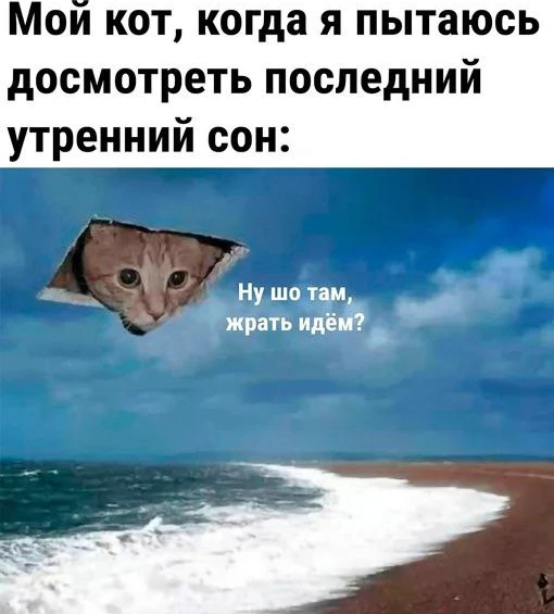 Пикабу