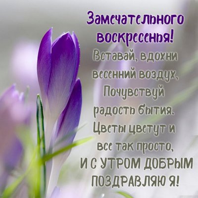 С ВОСКРЕСЕНЬЕМ — поздравления картинки 💐 Доброго утра, дня