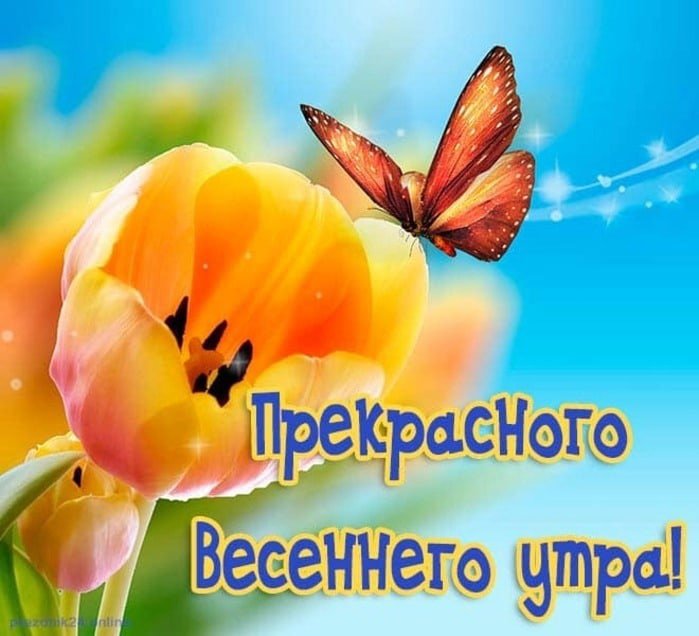 Открытка с добрым утром весны