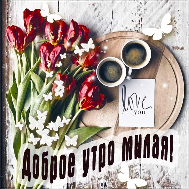 Моя коллекция картинок на портале Happypik.ru. Ваши